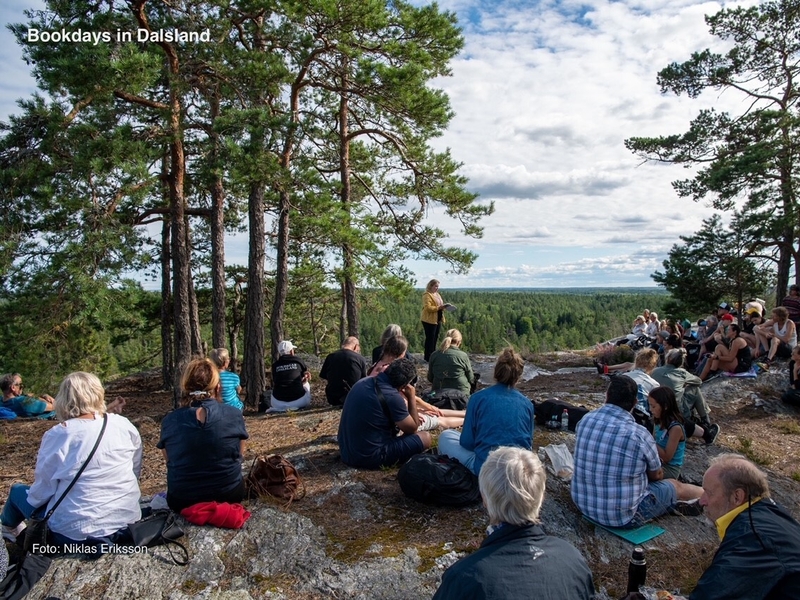 Overview Dalsland.jpg