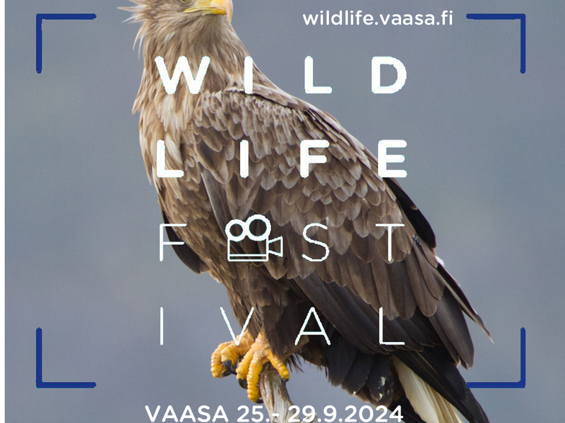 VWildlife2024 2.jpg