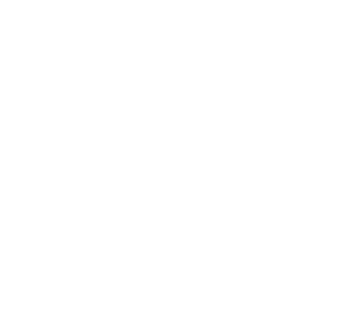 Flow Logo 2018