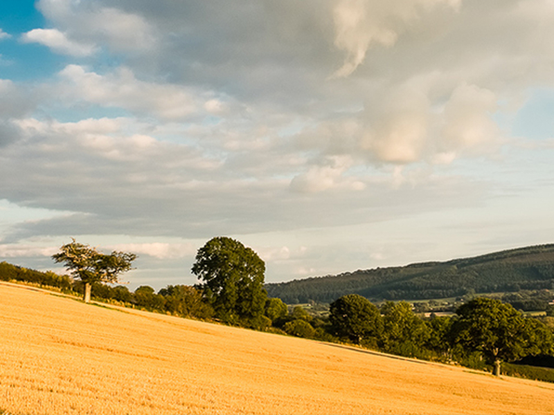 Presteigne2019