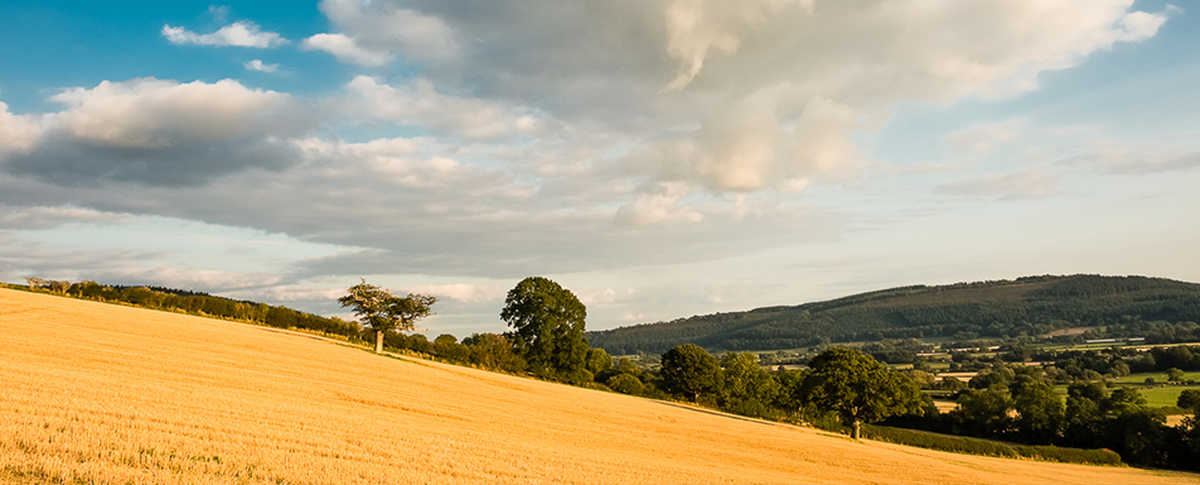 Presteigne2019